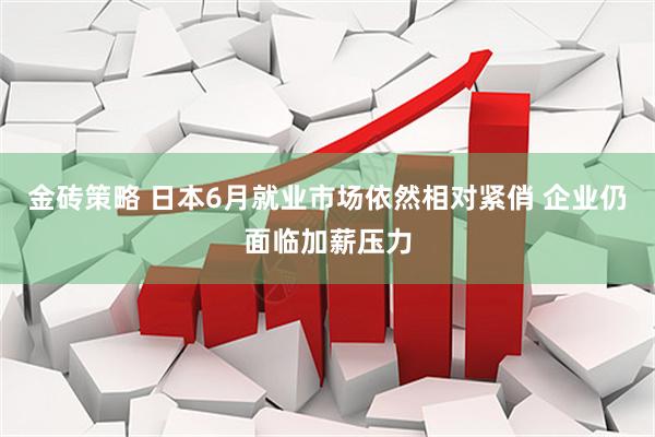 金砖策略 日本6月就业市场依然相对紧俏 企业仍面临加薪压力
