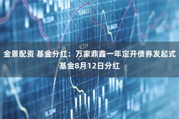 金景配资 基金分红：万家鼎鑫一年定开债券发起式基金8月12日分红