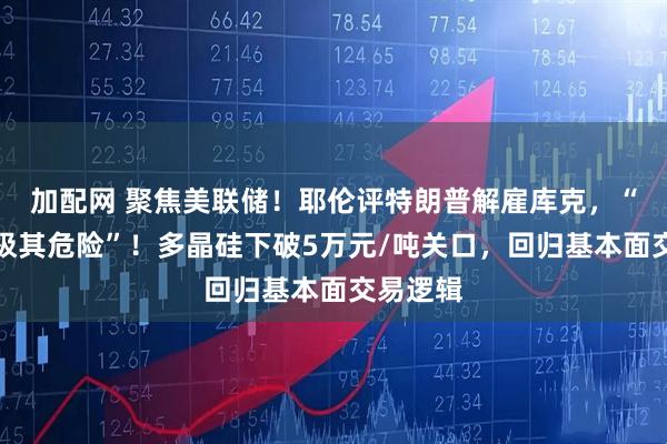 加配网 聚焦美联储！耶伦评特朗普解雇库克，“违法，极其危险”！多晶硅下破5万元/吨关口，回归基本面交易逻辑