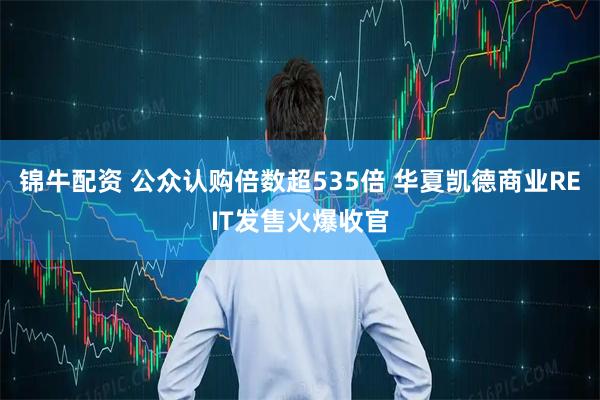 锦牛配资 公众认购倍数超535倍 华夏凯德商业REIT发售火爆收官