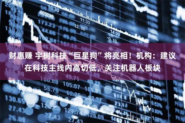 财惠赚 宇树科技“巨星狗”将亮相！机构：建议在科技主线内高切低，关注机器人板块