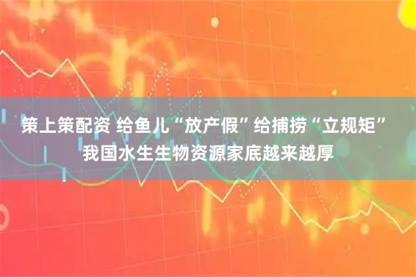 策上策配资 给鱼儿“放产假”给捕捞“立规矩” 我国水生生物资源家底越来越厚