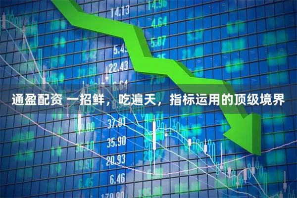 通盈配资 一招鲜，吃遍天，指标运用的顶级境界
